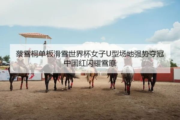 蔡雪桐单板滑雪世界杯女子U型场地强势夺冠 中国红闪耀雪原