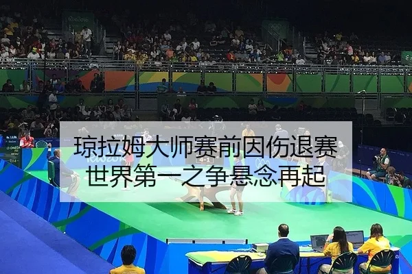 琼拉姆大师赛前因伤退赛 世界第一之争悬念再起